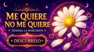 Margarita me quiere no me quiere