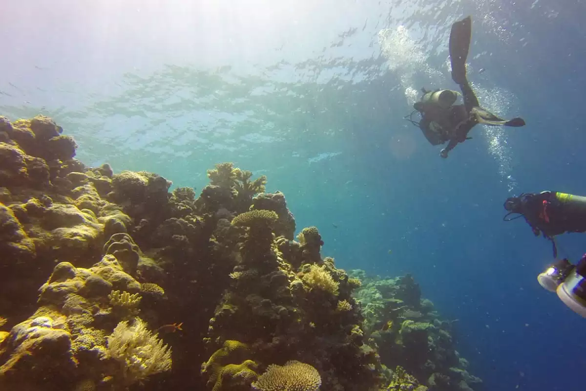 La Atlántida: dónde estaba y cómo era la isla de la que hablaba Platón