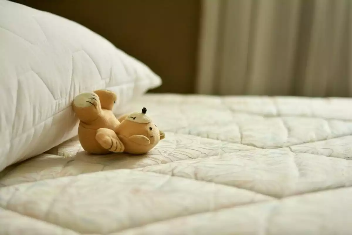 Cama con un oso de peluche