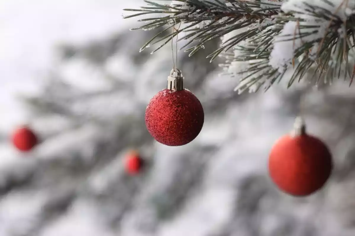 Imagen de un árbol de Navidad nevado