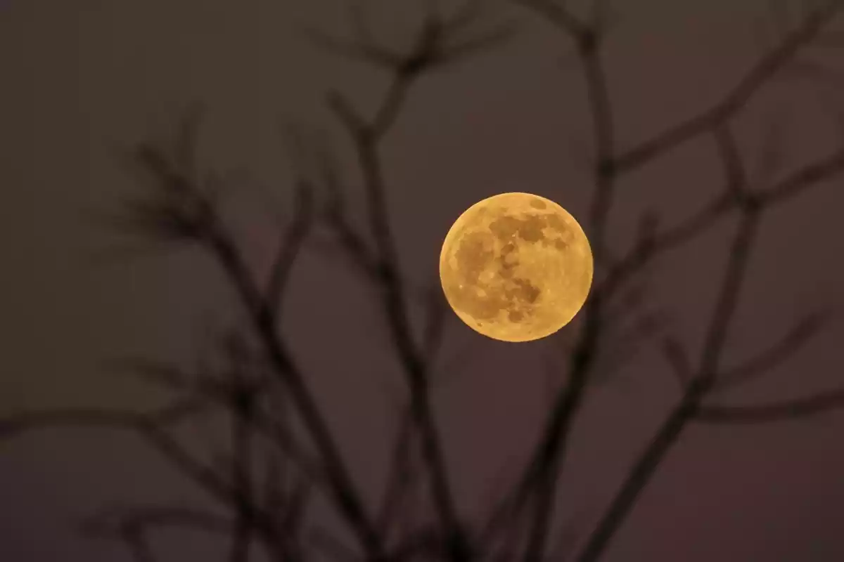 Imagen de una Luna llena en Valencia