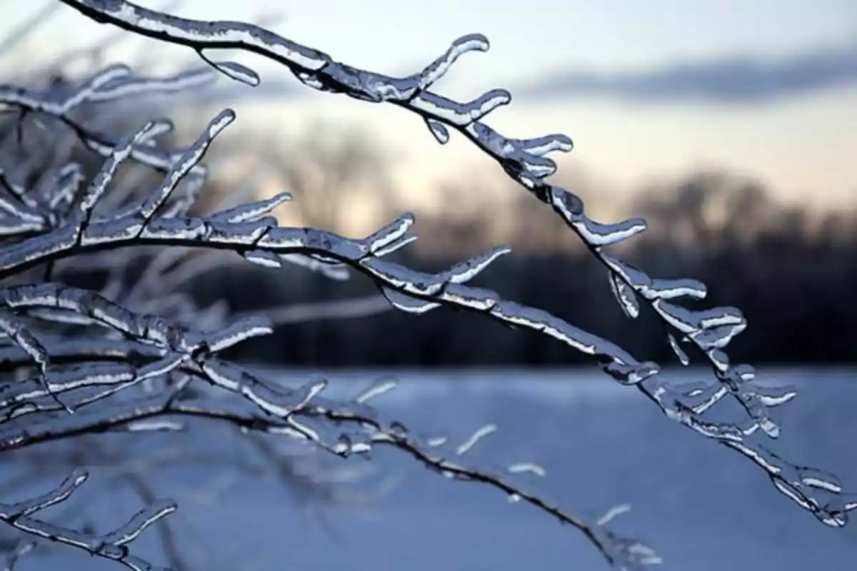 Imagen de un día de pleno invierno