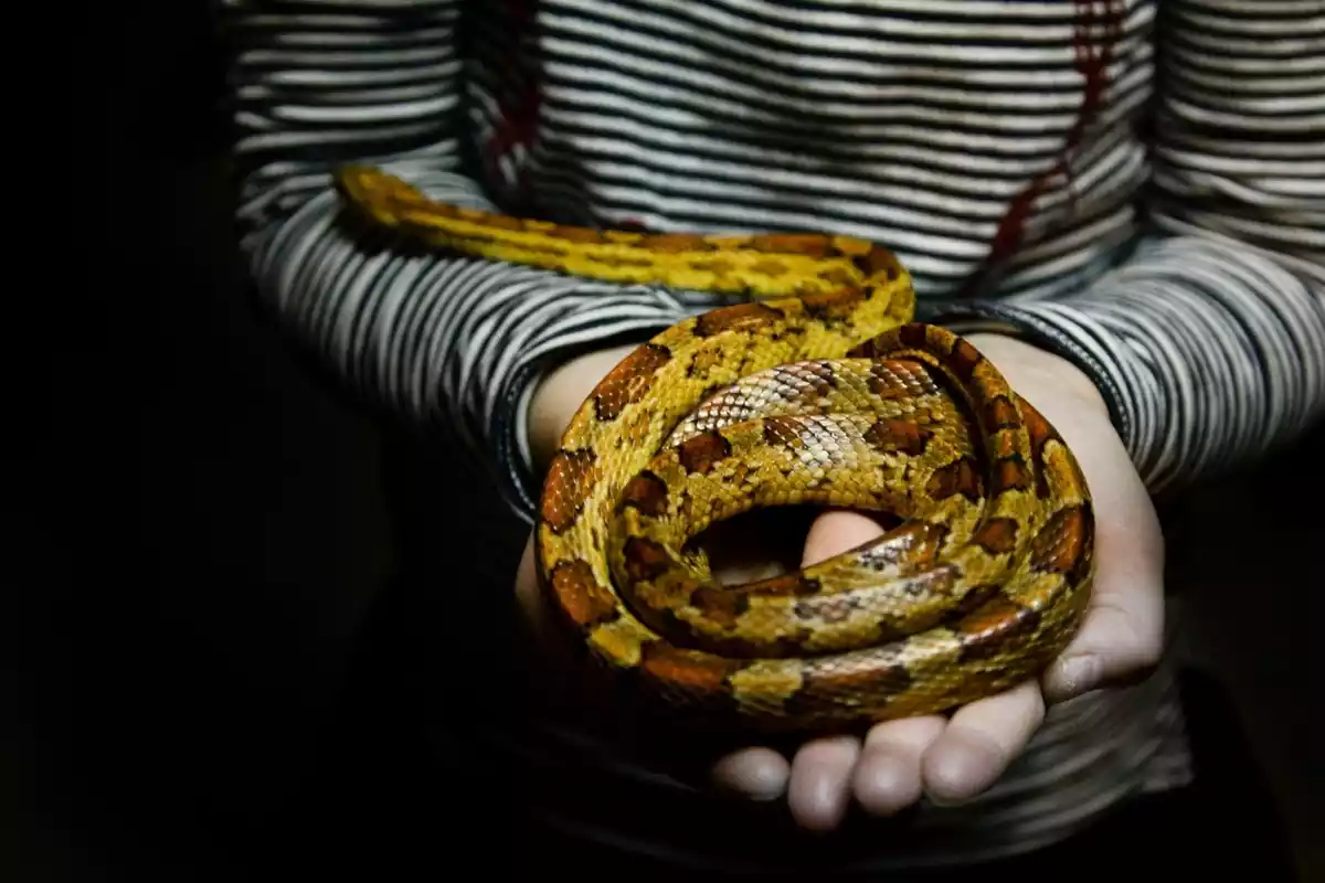 Una mujer sujetando una serpiente en la mano