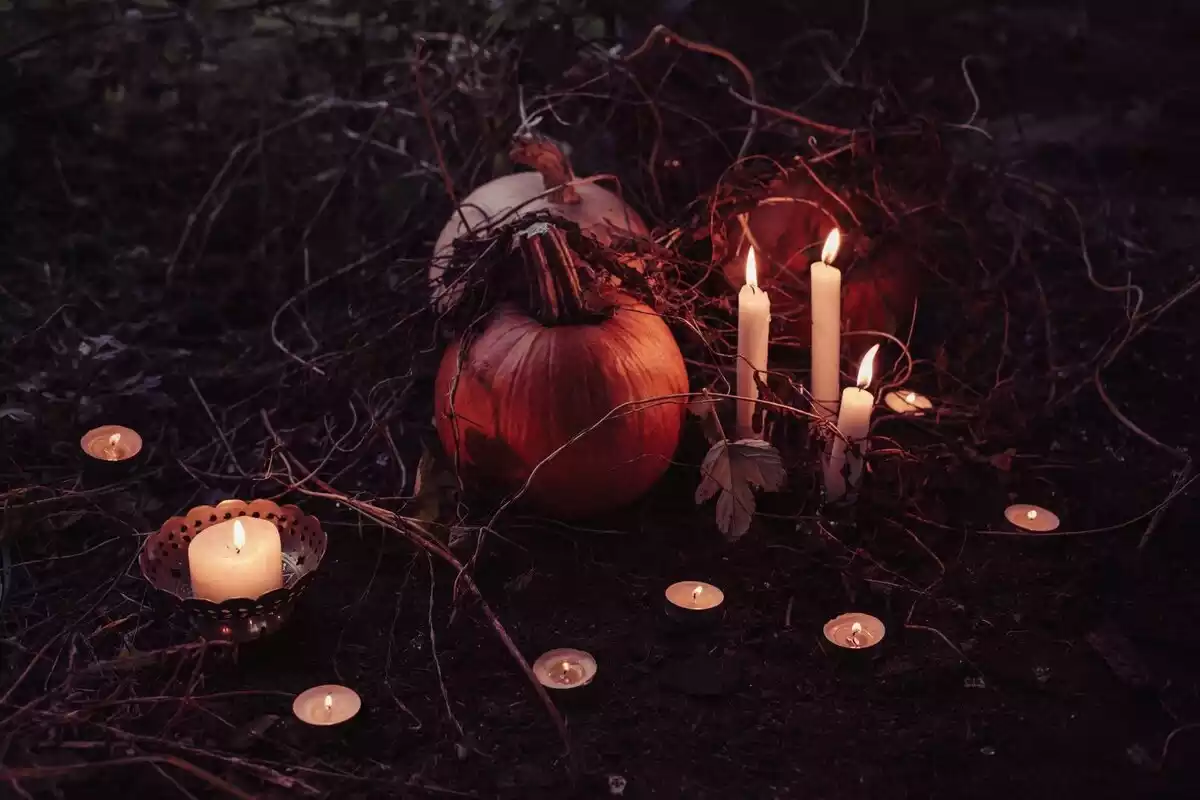 Fotografía de una calabaza con velas en un bosque