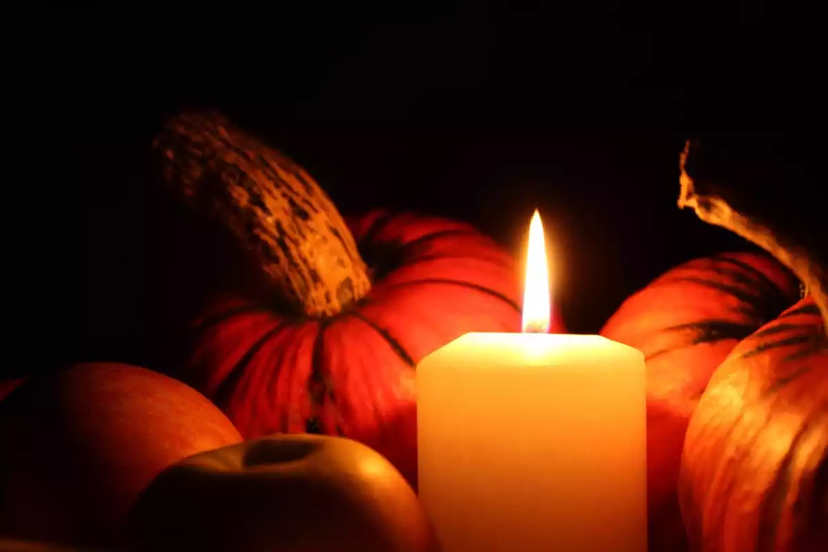 Fotografía de una vela y calabazas