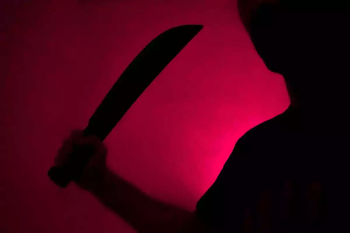 La sombra de una persona agarrando un machete sobre un fondo fucsia