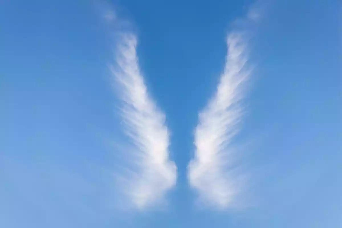 Alas de un Ángel en el cielo