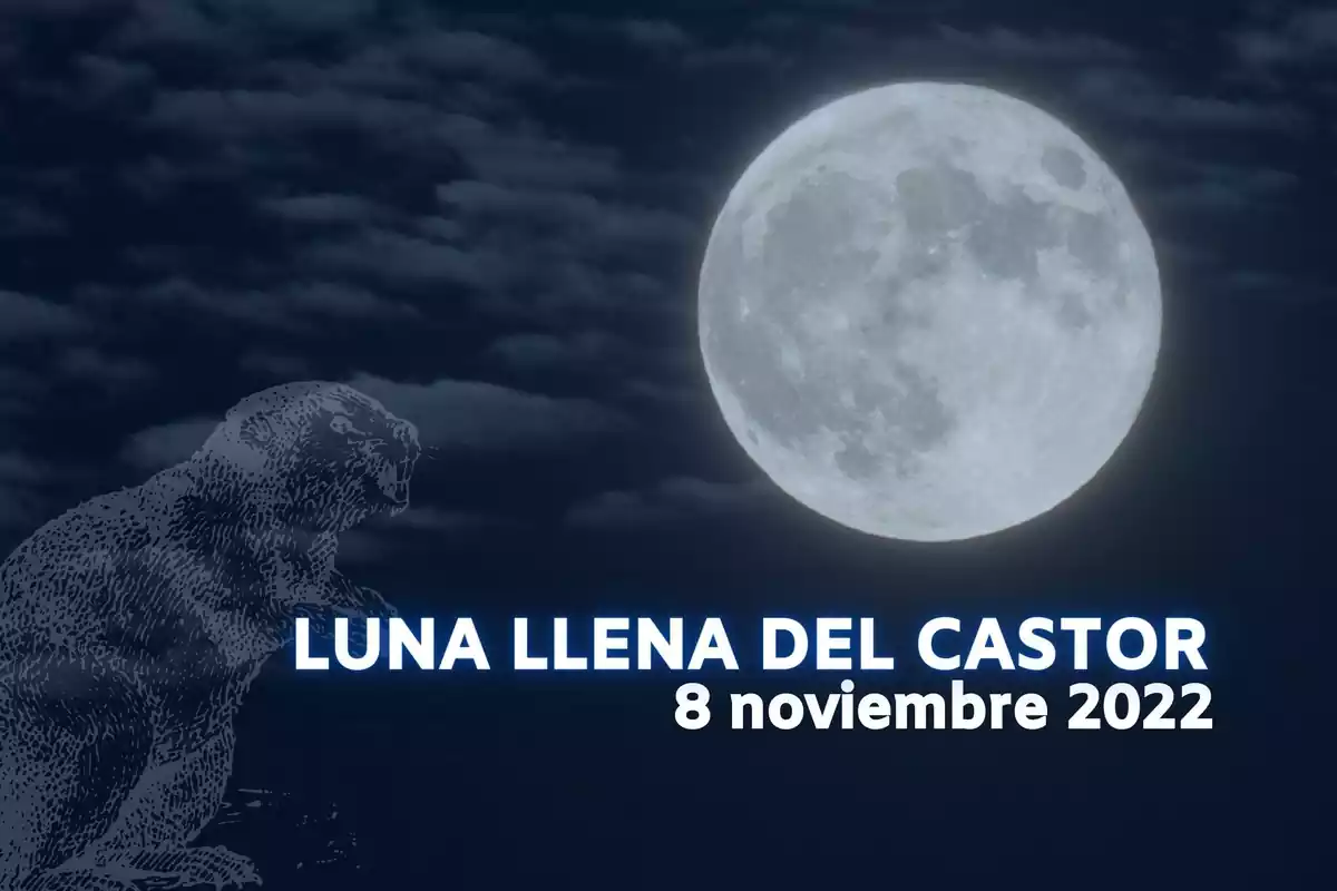 Imagen de una Luna Llena con la sobre de un castor al lado y la frase 'Luna Llena del Castor'