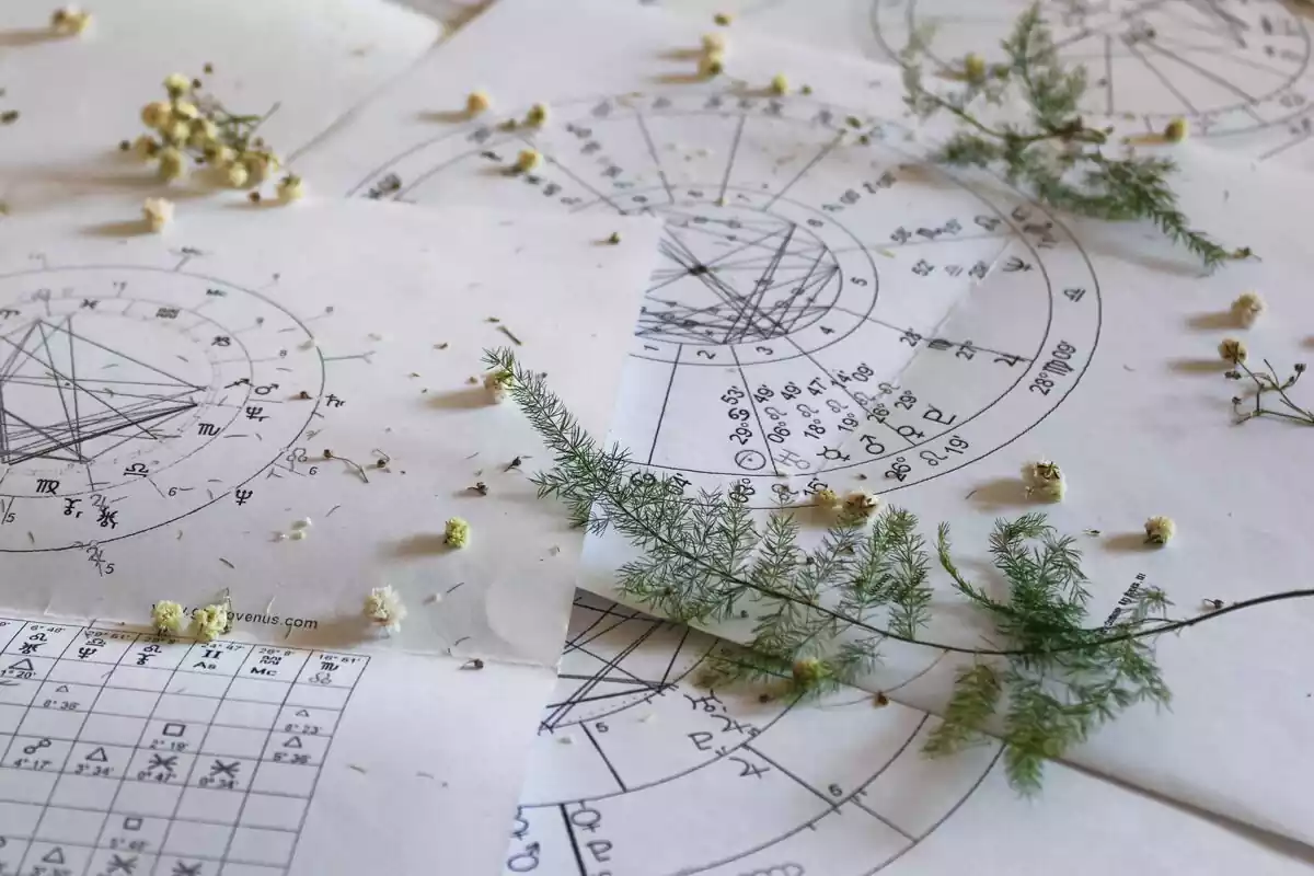 Varias hojas de astrología con varias ramas de plantas