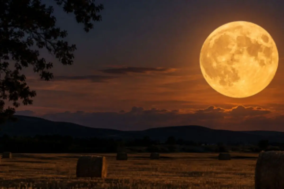 Luna llena anaranjada elevándose sobre un campo de heno al atardecer con montañas oscuras al fondo.